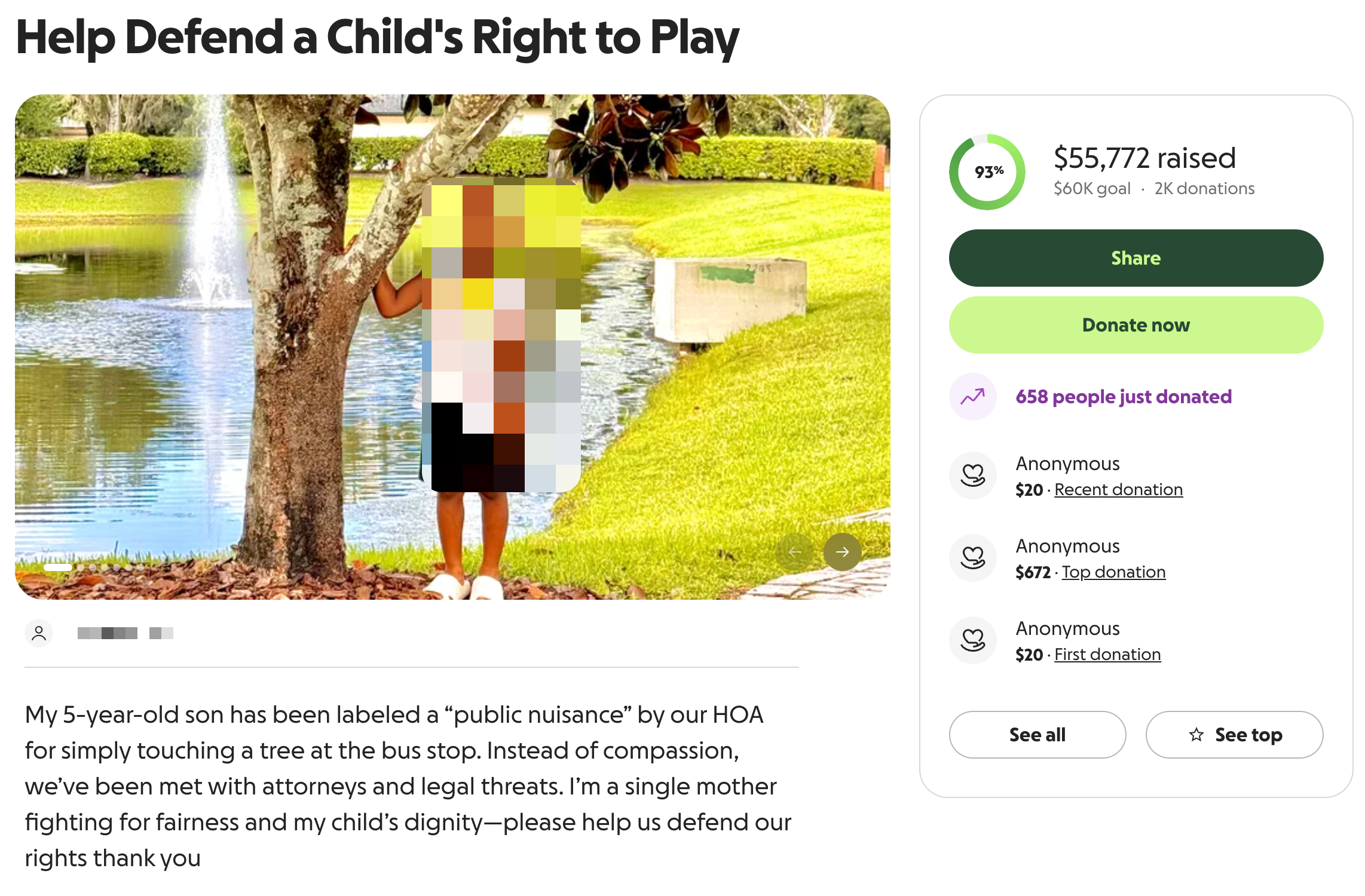 GoFundMe Campaign Screenshot